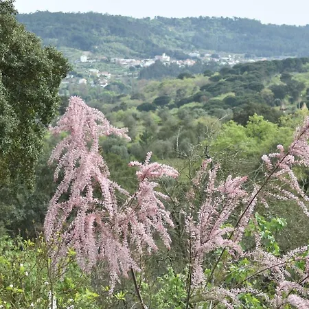 Quinta Da Casa Velha Agroturismo Farm stay