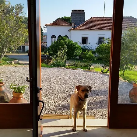 Quinta Da Casa Velha Agroturismo *
