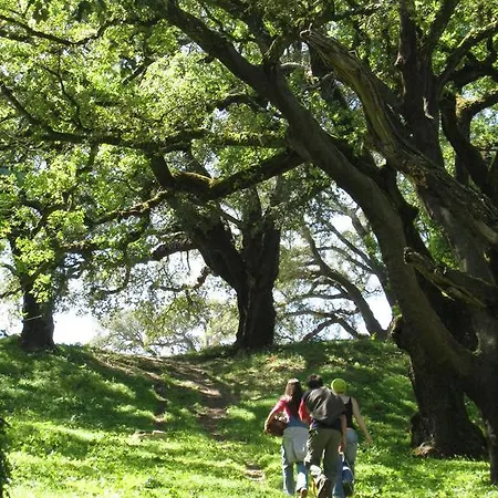Quinta Da Casa Velha Agroturismo Farm stay Ourem
