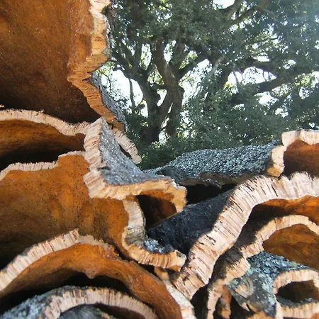 Quinta Da Casa Velha Agroturismo *