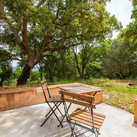 Farm stay Quinta Da Casa Velha Agroturismo *
