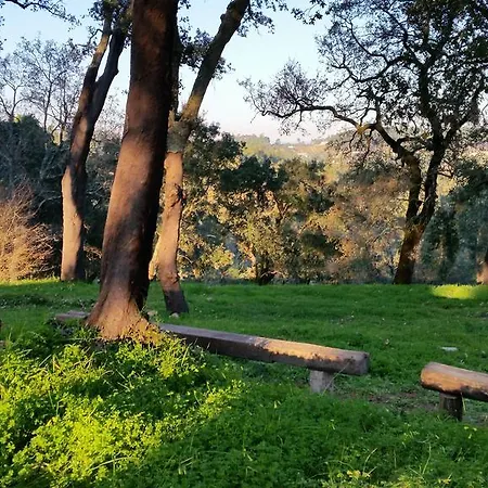 Quinta Da Casa Velha Agroturismo Ourem