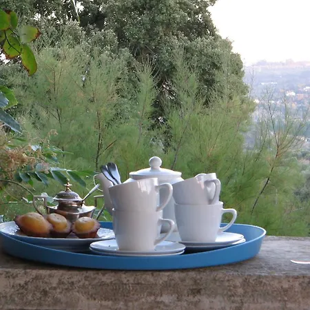 Farm stay Quinta Da Casa Velha Agroturismo Ourem